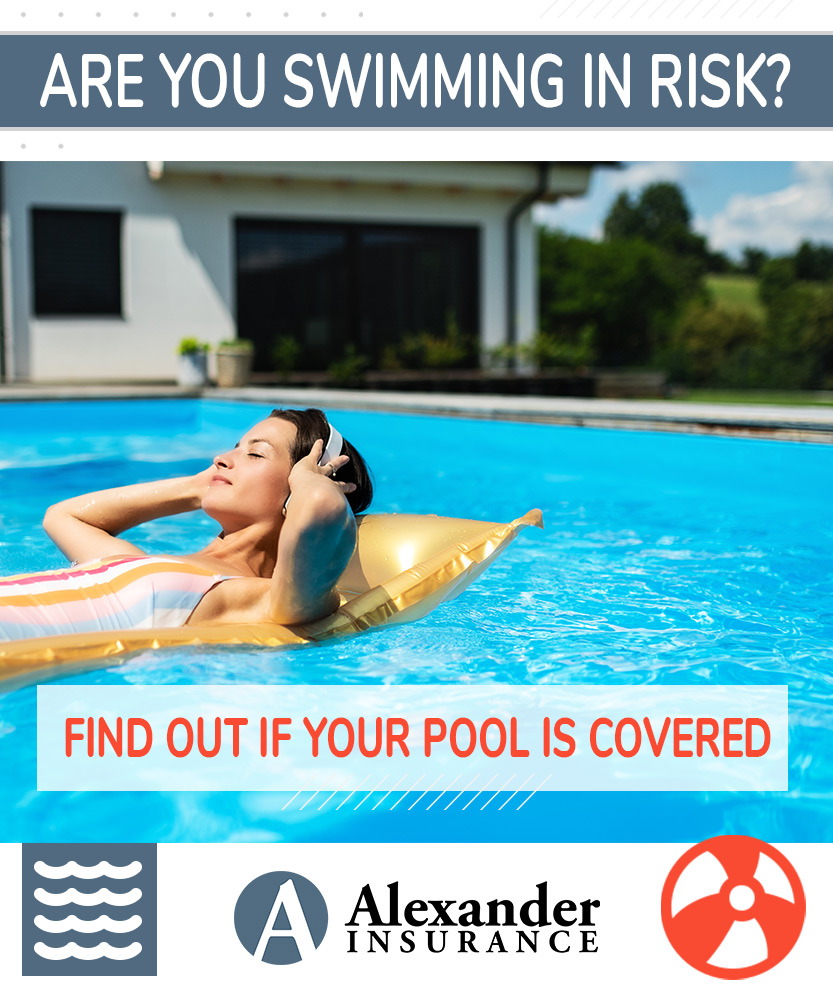 the-deep-end-s-inviting-distraction-homeowners-insurance-swimming